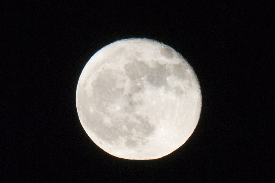 P1060132