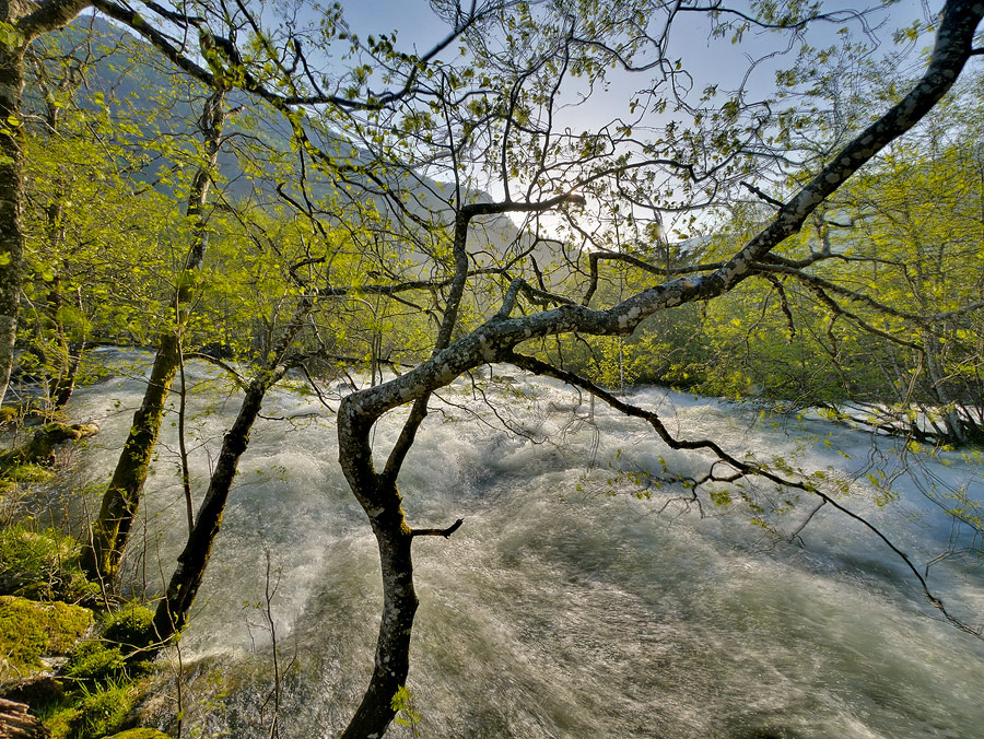 P1060908