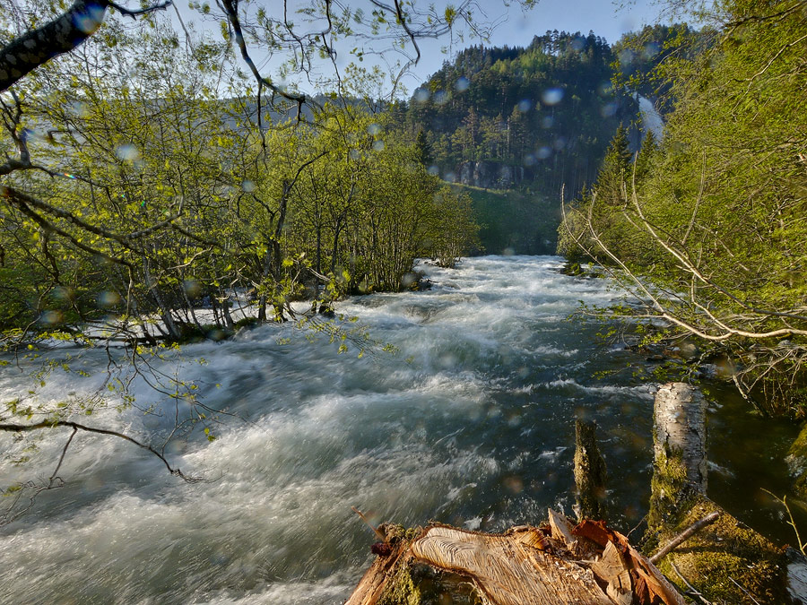 P1060913