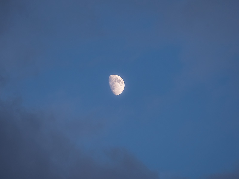 P1670829