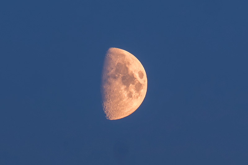 P1680657