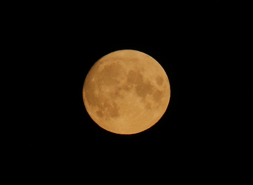 P1680742