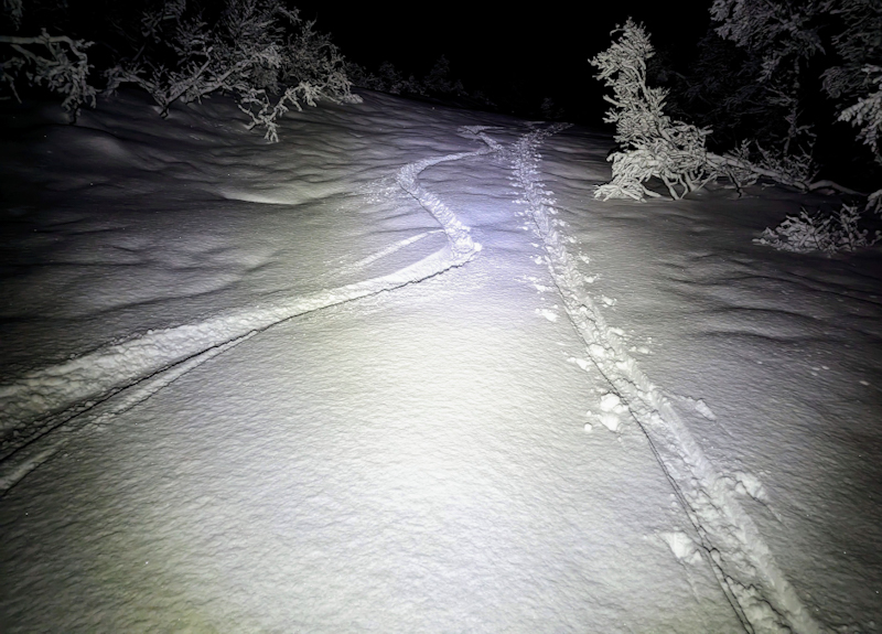 PXL 20221221 155131223 3