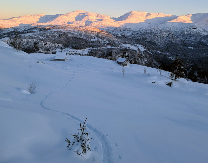 PXL 20230101 090647584 3  1 