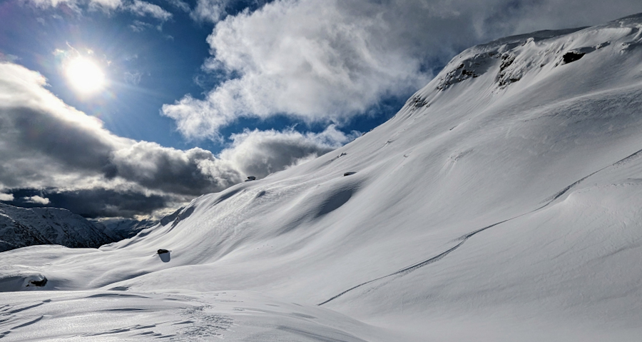 PXL 20230224 133307823 2