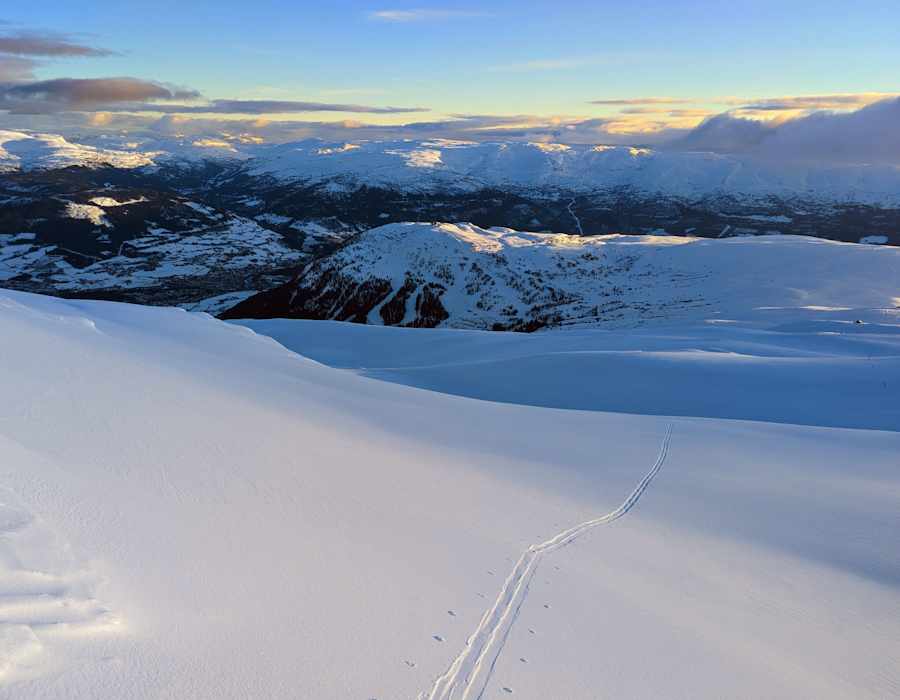 PXL 20230320 165720347 2