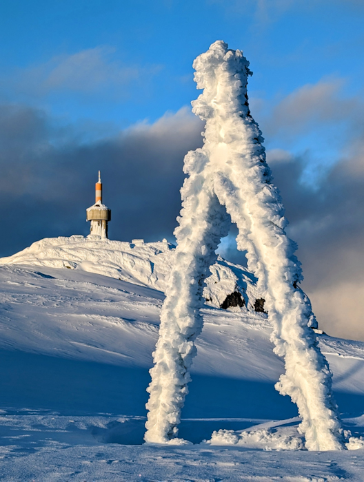 PXL 20230320 171211343 2