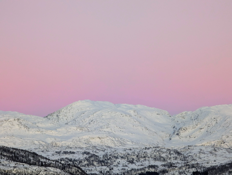 PXL 20240106 145429175 3