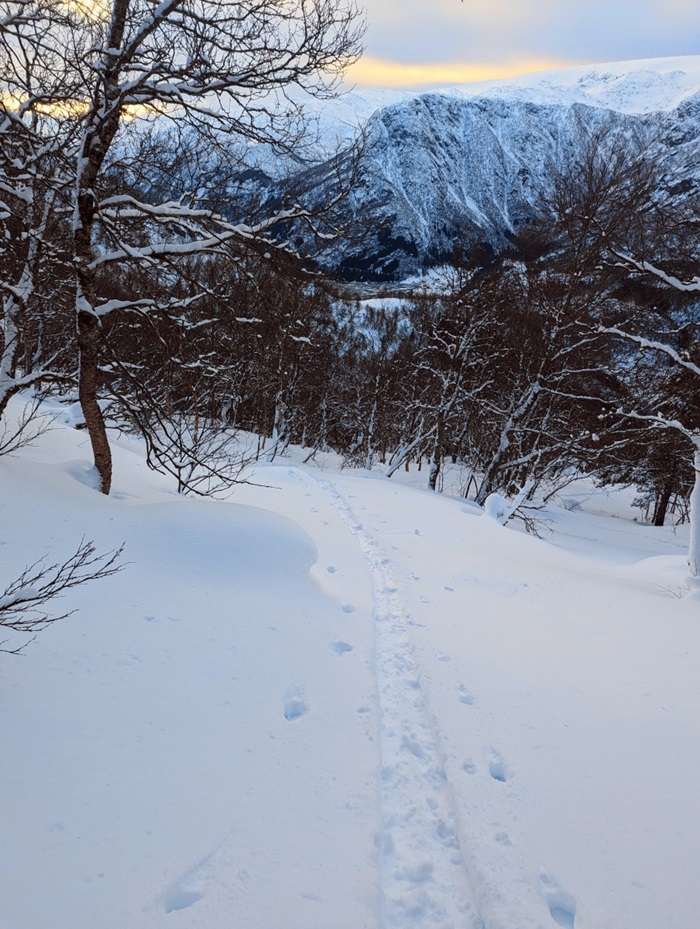 PXL 20240115 125724580 2 13403 1096 1200 90