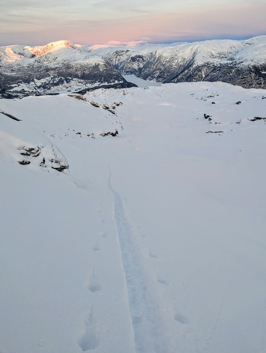 PXL 20240117 150343647 2 13408 1096 1200 90