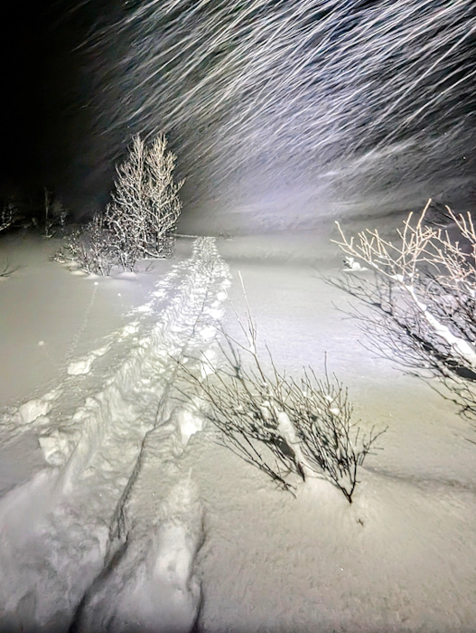 PXL 20240118 222344910 4