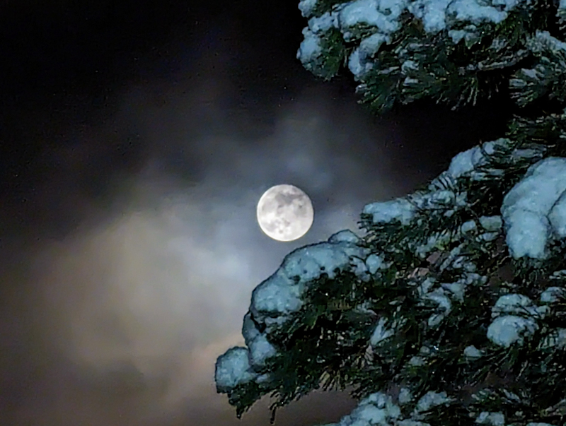 PXL 20240126 175422927 6