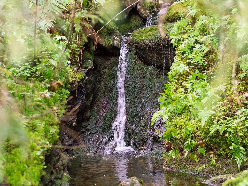 P1090548