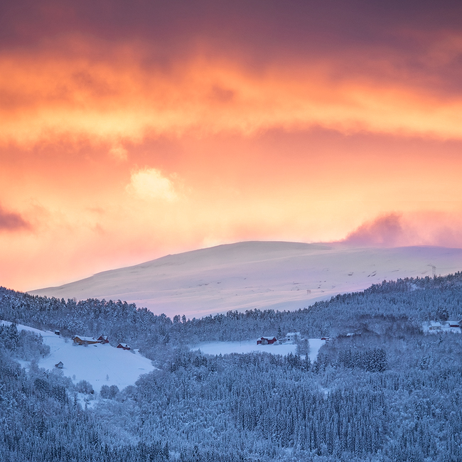 vindal