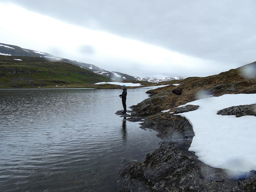 P1000194