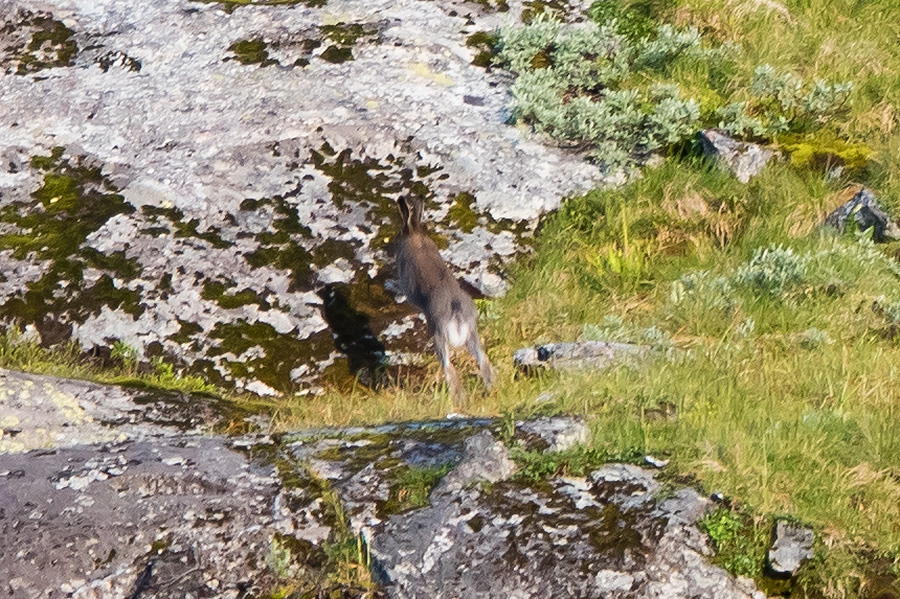 P1470949