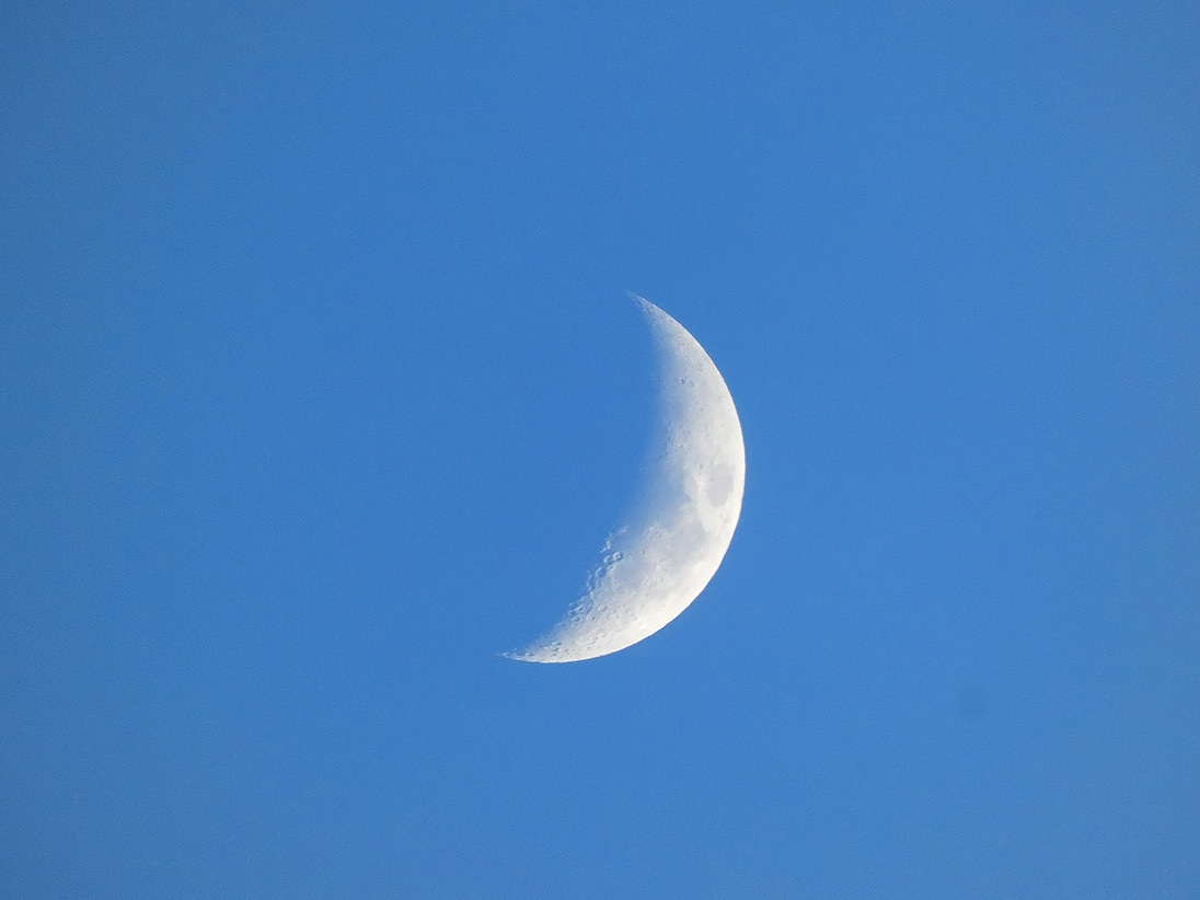 P1010282