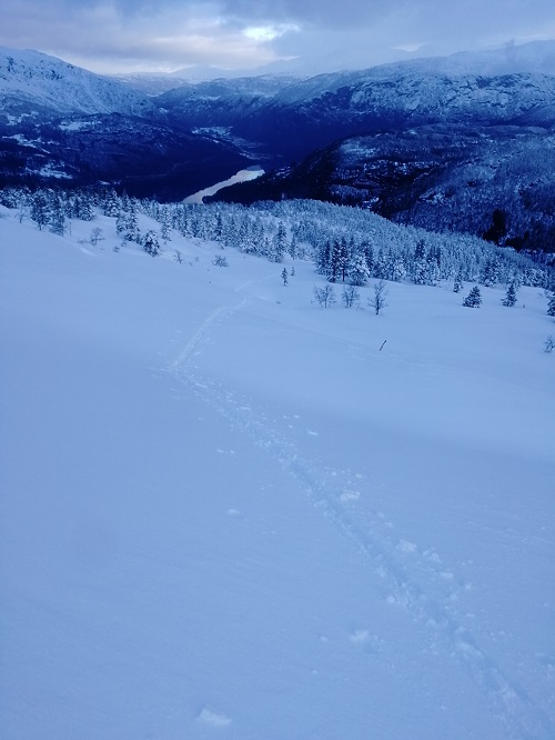IMG 20200223 091402