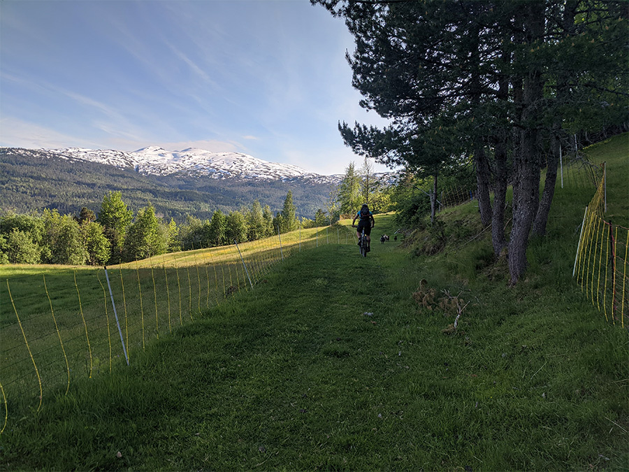 103957016 259327315509693 2847729224089980671 n