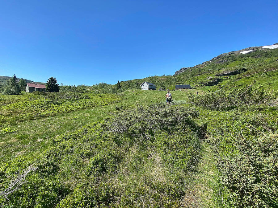 75328739 3123179257744013 2600734959768511374 n