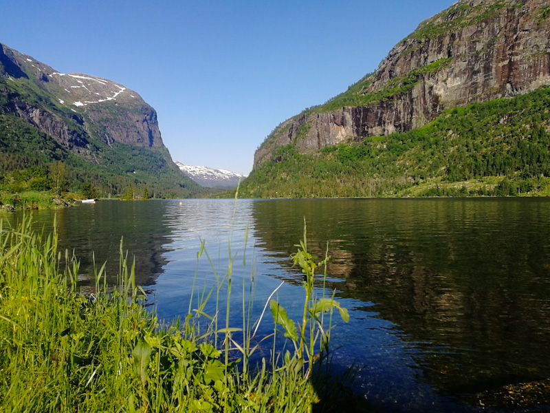 PSX 20200625 2125248